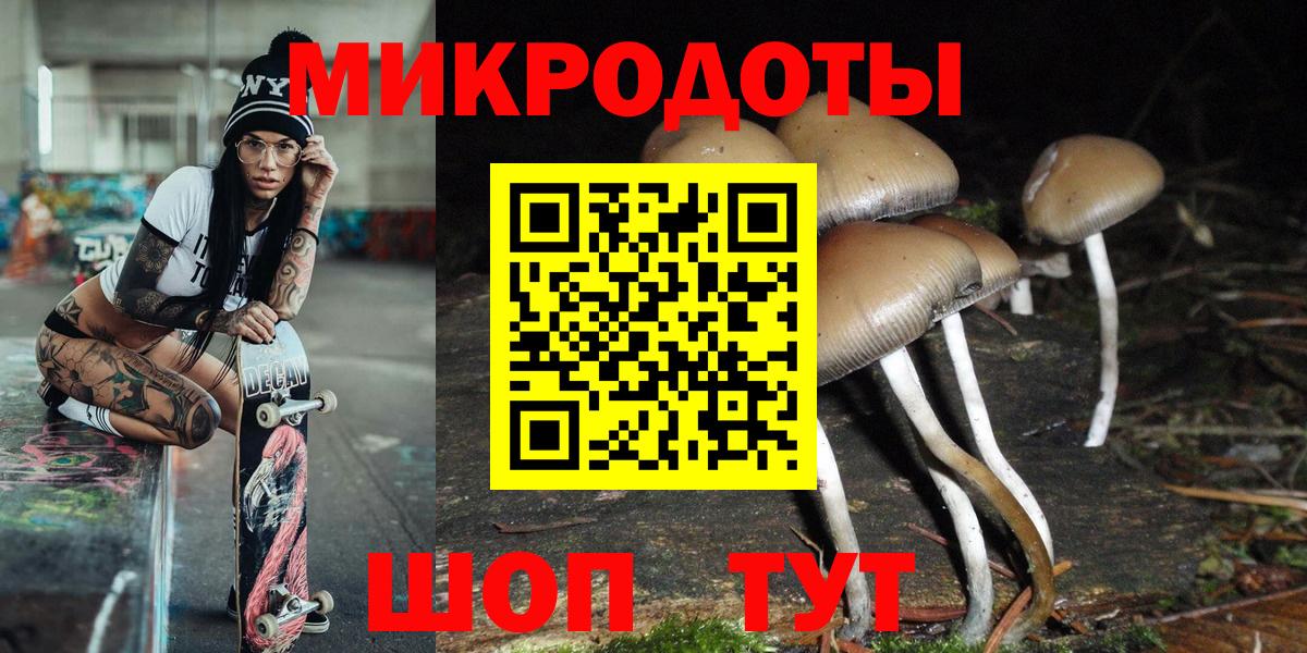 Псилоцибиновые грибы Cubensis Отрадный