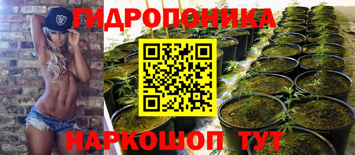 МАРИХУАНА конопля  Бошки марихуана конопля  Бошки Шишки тримм  Вход с VPN  Отрадный 